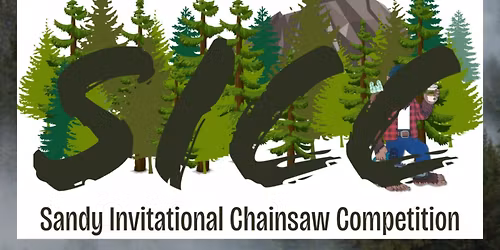 Sandy Forest Festival - Chainsaw Carving
