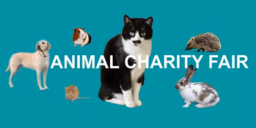 Animal Charity Spring Fair