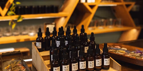 Element Tree Essentials: Craft Your Own