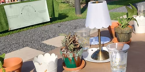 Plant, Paint, and Vibes!