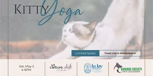 Kitty Yoga with In Joy Wellness & Humane Society of St. Lucie County