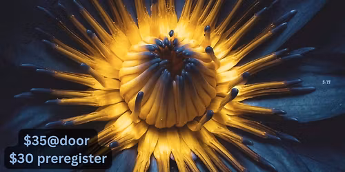 Blue lotus sound healing