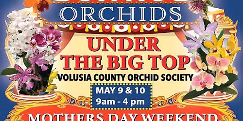 "Orchids Under the Big Top"