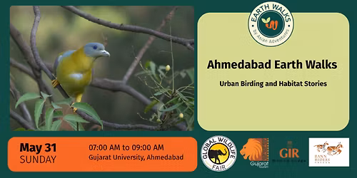 Urban Birding and Habitat Stories