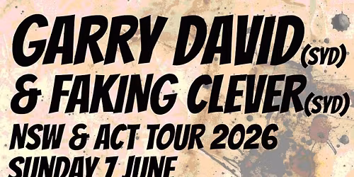 Garry David & Evadell & Faking Clever & The Bright Shining Lies