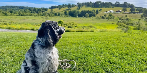 Yappy Hour Kickoff