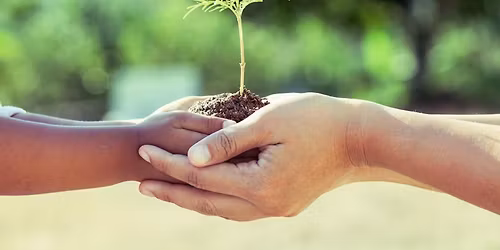 Plant Swap or Adopt