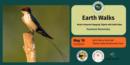 Birds & Beyond: Mapping Tilpath with Delhi Atlas