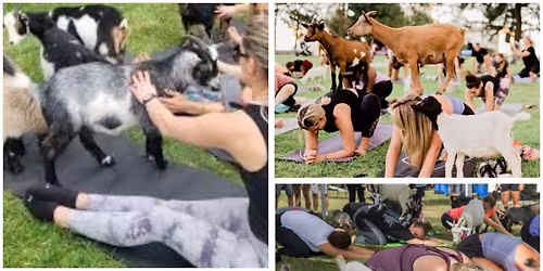 Mother's Day Goat Yoga