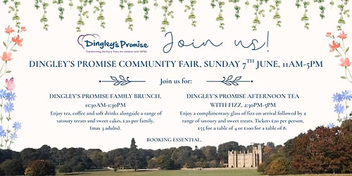 Dingley's Promise Community Fair at Englefield Estate