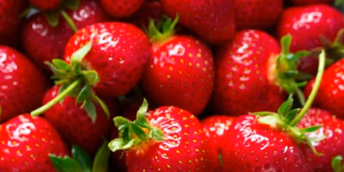 Strawberry Festival