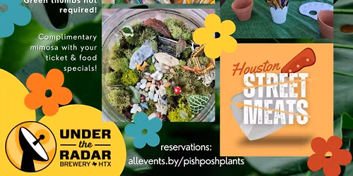 Create with Plants!: Paint, Pots, Terrariums!