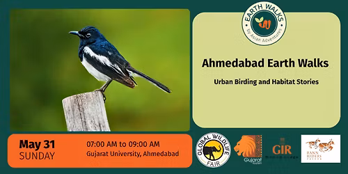 Urban Birding and Habitat Stories