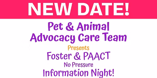 Foster & PAACT Information Night!