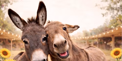Donkey Nuzzling