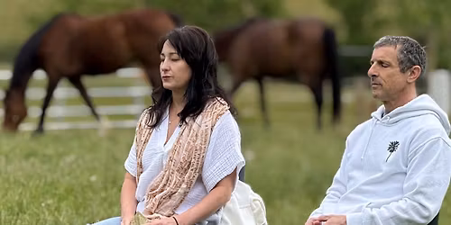 Meditation with Horses