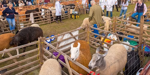 Keighley Show
