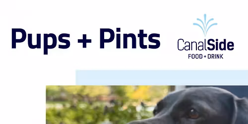 Pups + Pints at CambridgeSide