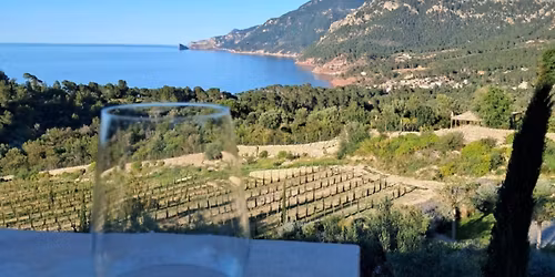 Hidden Jewels of Mallorca