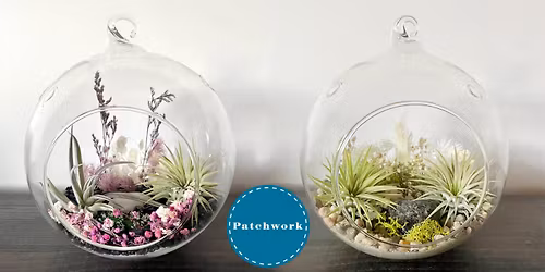 Patchwork Presents Air Plant Terrarium Craft Workshop