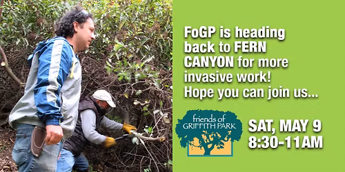 Join Other FoGP Volunteers\ufeff \ufeffin Fern Canyon