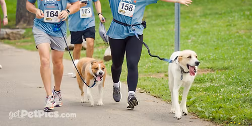 Music City Mutt Strutt 5K