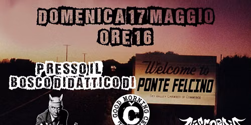 Punk ol'olio - with Good Morning Cernobyl \/ Nasty Nielsen \/ Discordia \/ The Termites \/ Miota