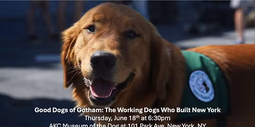Good Dogs of Gotham: The Working Dogs Who Built New York