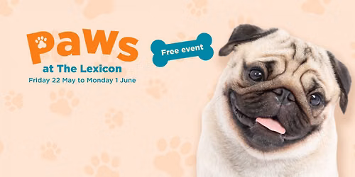 Paws at The Lexicon