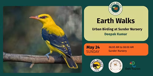 Urban Birding at Sunder Nursery