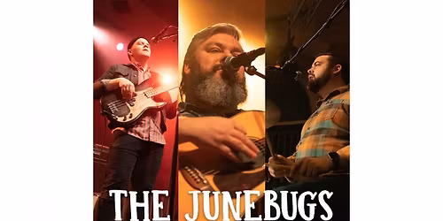 Live at the Vineyard: The Junebugs