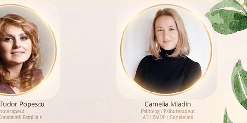Atelier Constelatii Familiale: Relatia cu banii