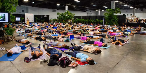 International Yoga Day Expo and Wellness Fair-100,000 sq ft of Fun