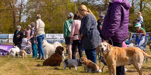 RSPCA fun dog show and Fete