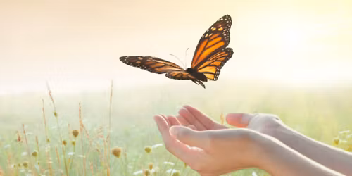 Butterfly Release