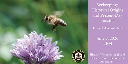 Beekeeping: Historical Origins and Present-Day Buzzing Talk and Demonstration
