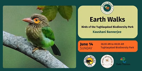 Birds of the Tughlaqabad Biodiversity Park