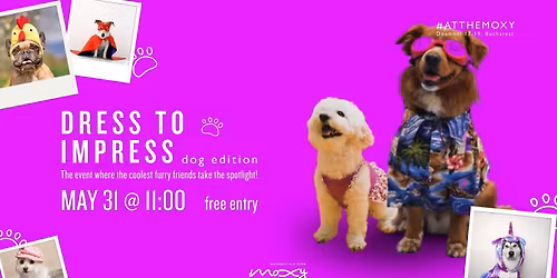 Dress To Impress