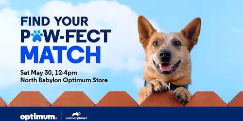 Find Your Paw-fect Match at our Pet Adoption Event