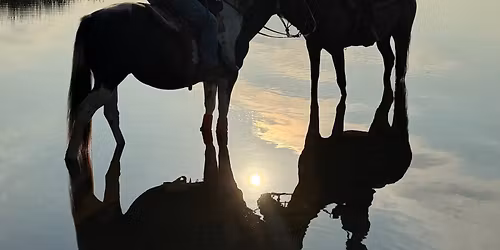 Horseback Riding- Scenic Trail Ride