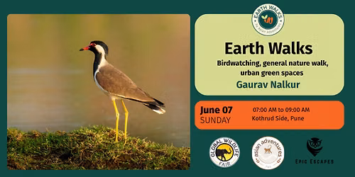 Birdwatching, general nature walk, urban green spaces