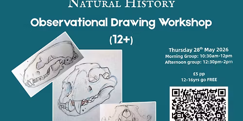 Natural History Observational Drawing Workshop