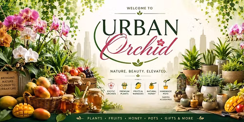 Urban Orchid 