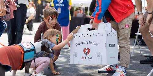 California Adopt-A-Pet-Day