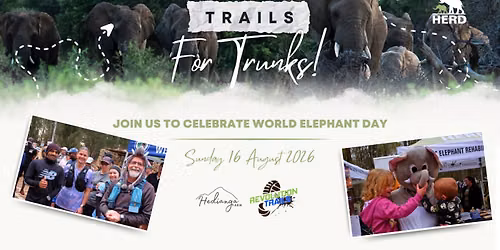 Trails for Trunks | HERD's World Elephant Day Fun Run
