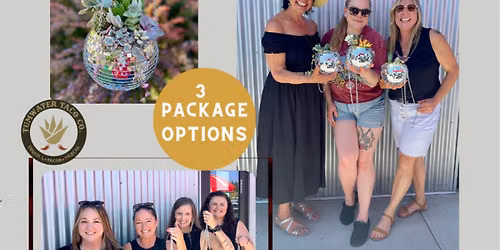 Succulent Disco Ball Class