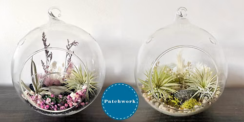 Patchwork Presents Air Plant Terrarium Craft Workshop