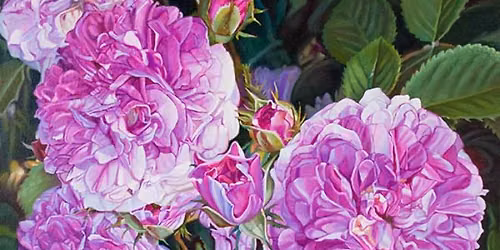 Paul Baldassini: In Full Bloom Art Exhibit at the Geary Gallery, Darien, CT
