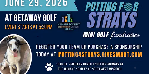 Putting For Strays