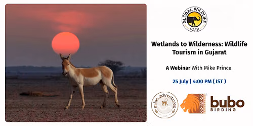 Wetlands to Wilderness: Wildlife Tourism in Gujarat
